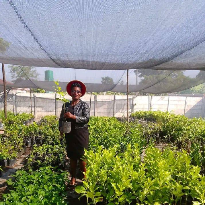High Quality HDPE+UV Protection Shade Net for Outdoor - Image 2