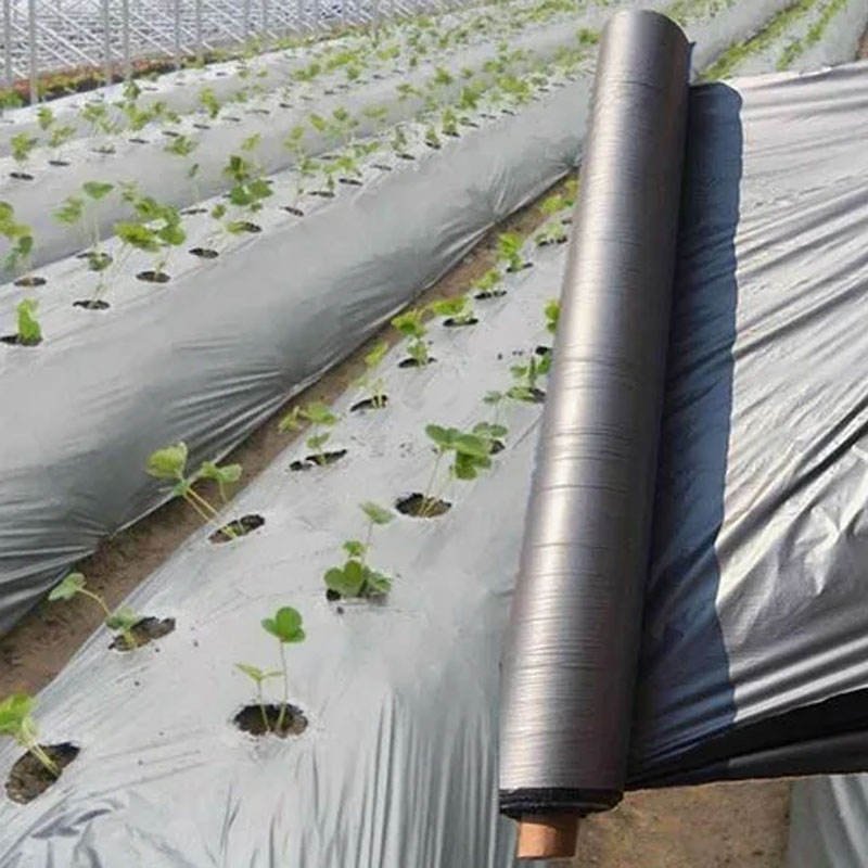 OEM Custom Processing Silver Black Mulch Agriculture PE Film - Image 4