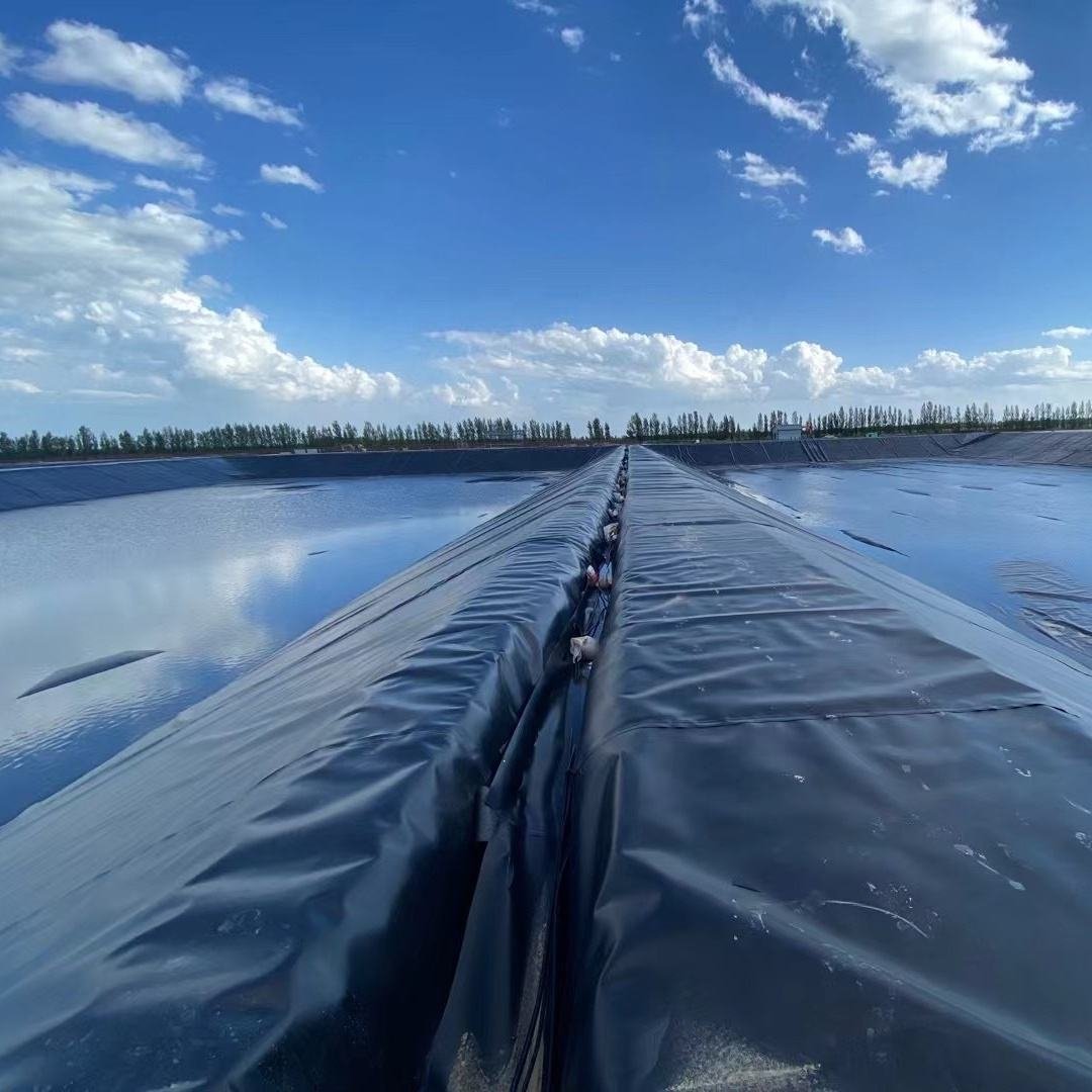 Fish Pond Water Tank Hdpe Dam Liner Geomembrane Farming Fishpond - Image 6