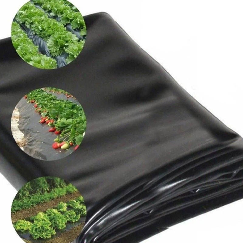 OEM Custom Processing Silver Black Mulch Agriculture PE Film - Image 6