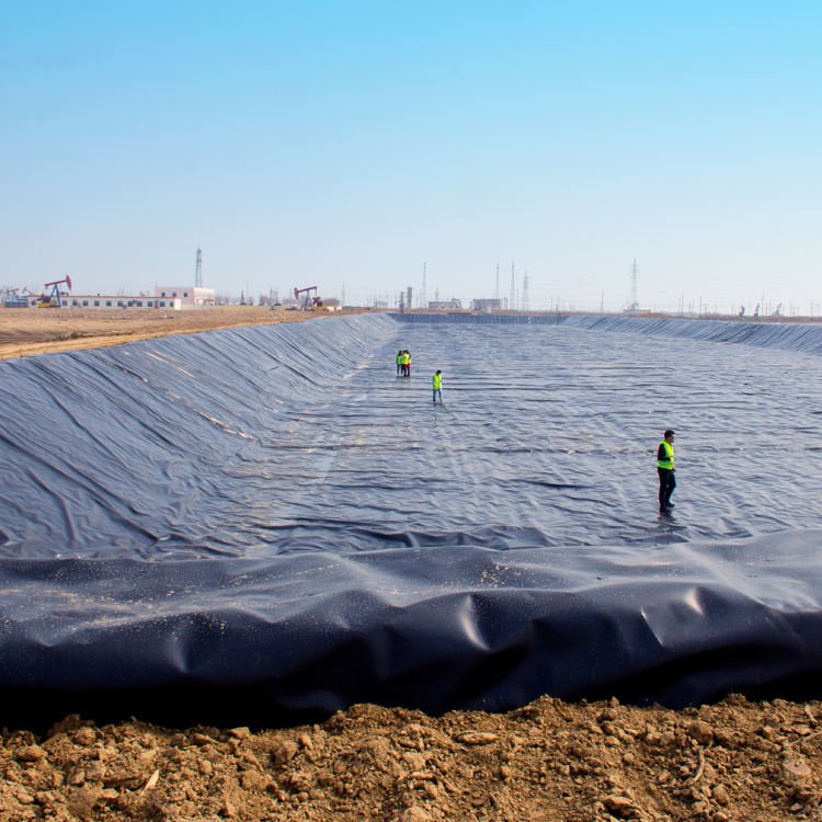 Fish Pond Water Tank Hdpe Dam Liner Geomembrane Farming Fishpond - Image 8