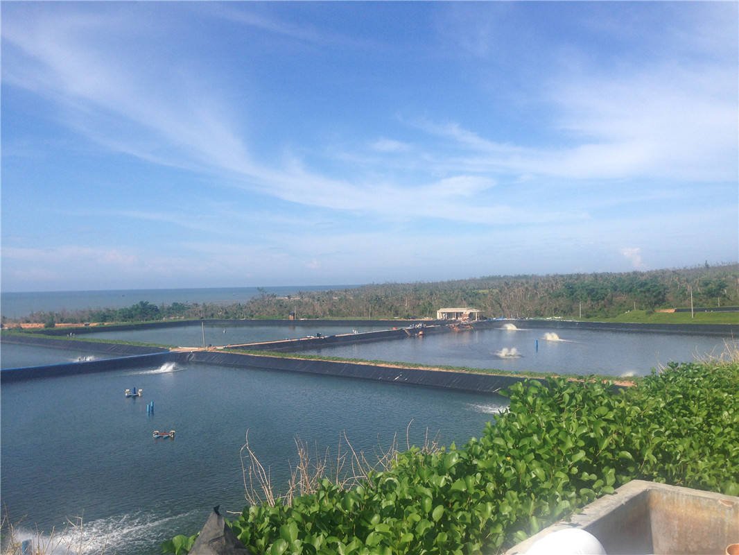 Fish Pond Water Tank Hdpe Dam Liner Geomembrane Farming Fishpond - Image 9