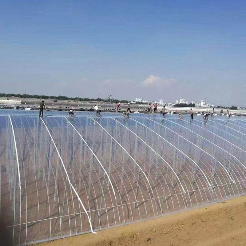 Agricultural Plastic Greenhouse Film Resistant UV 200 Micron Covering Film - Image 5