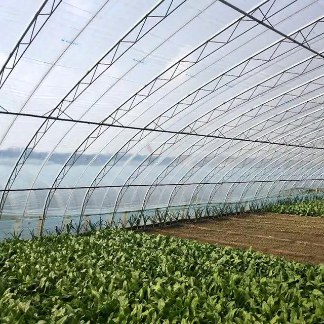Agricultural Plastic Greenhouse Film Resistant UV 200 Micron Covering Film - Image 2